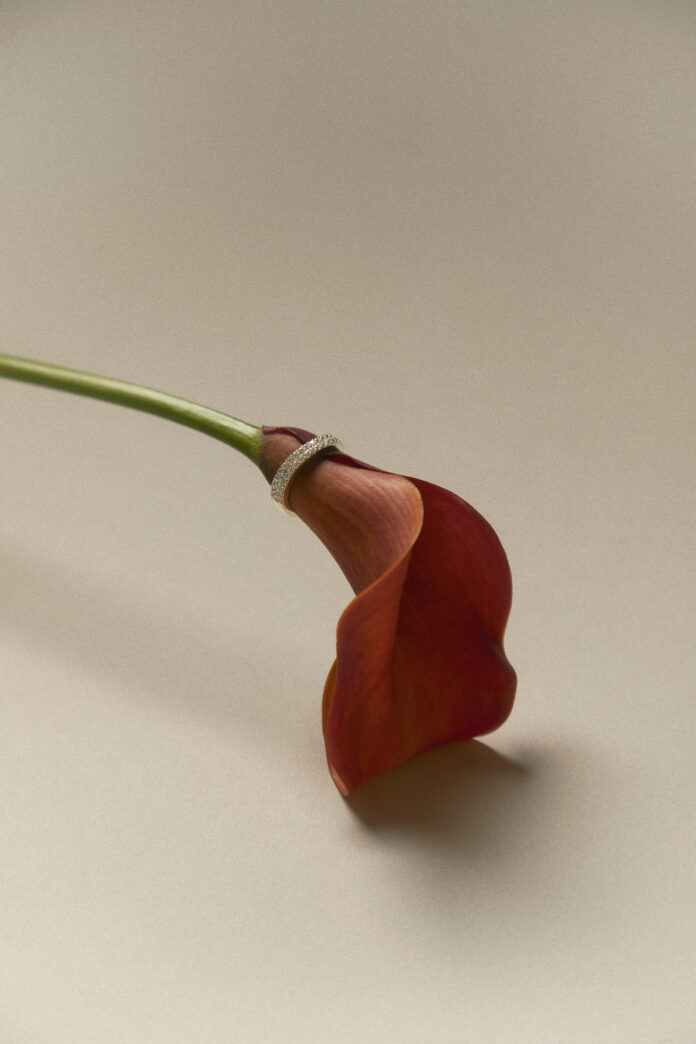 VIDAL-STILL-LIFE2374