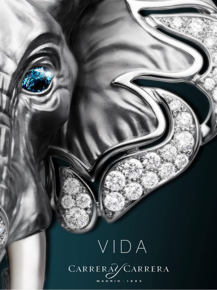 VIDA-Press-Kit-(arrastrado)